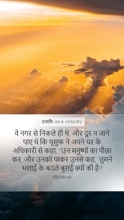 उत्पत्ति 44:4 HINIRV Bible Verse Image