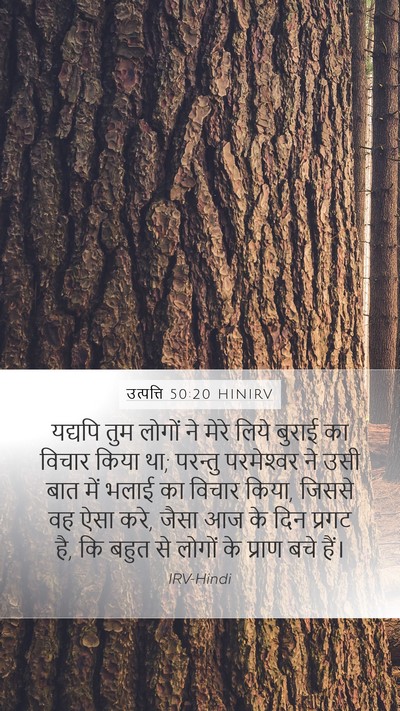 उत्पत्ति 50:20 HINIRV Bible Verse Image