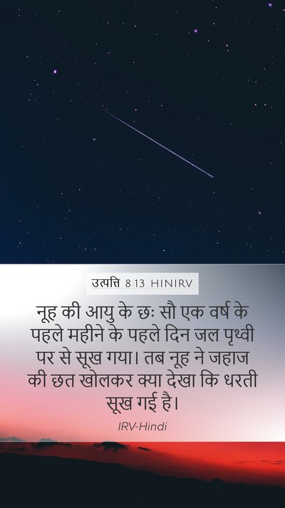 उत्पत्ति 8:13 HINIRV Bible Verse Image