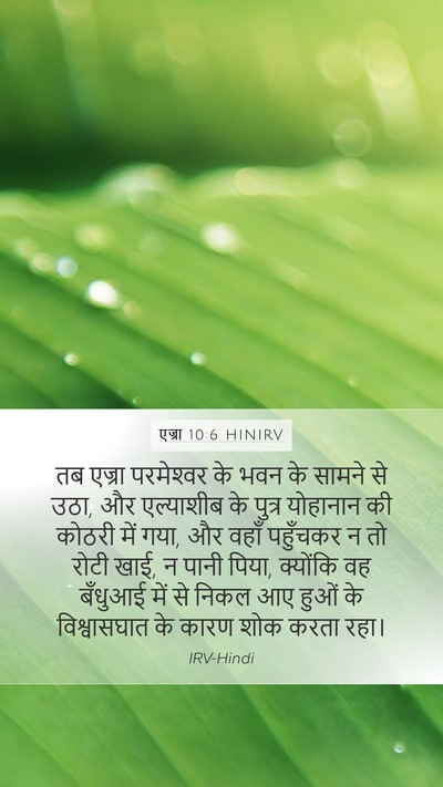 एज्रा 10:6 HINIRV Bible Verse Image