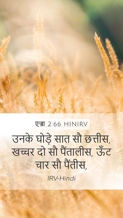 एज्रा 2:66 HINIRV Mobile Phone Wallpaper - उनके घोड़े सात सौ - Mobile Bible Verse Wallpaper