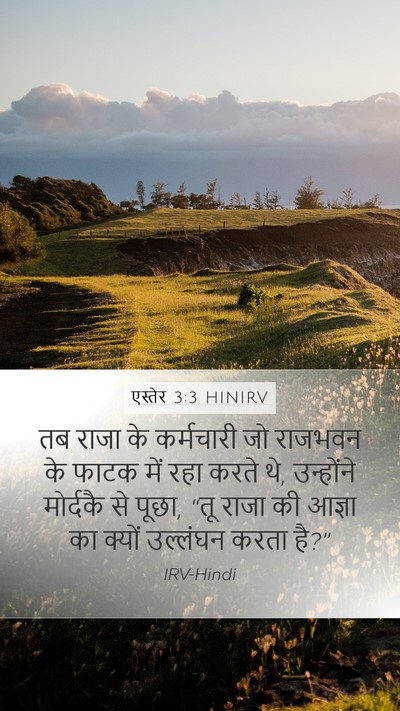 एस्तेर 3:3 HINIRV Mobile Phone Wallpaper - तब राजा के - Mobile Bible Verse Wallpaper