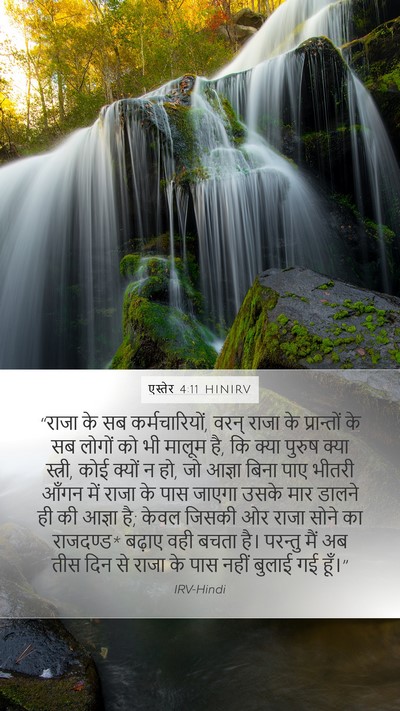 एस्तेर 4:11 HINIRV Bible Verse Image