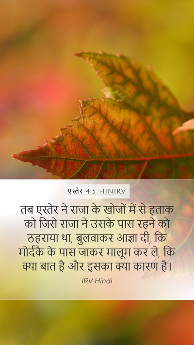 एस्तेर 4:5 HINIRV Mobile Phone Wallpaper - तब एस्तेर ने राजा - Mobile Bible Verse Wallpaper