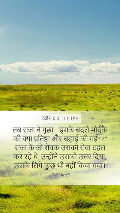 एस्तेर 6:3 HINIRV Mobile Phone Wallpaper - तब राजा ने पूछा, - Mobile Bible Verse Wallpaper