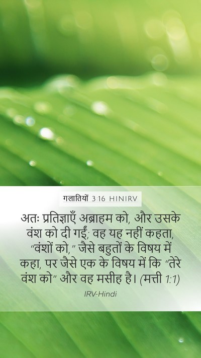 गलातियों 3:16 HINIRV Bible Verse Image