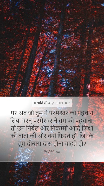 गलातियों 4:9 HINIRV Bible Verse Image