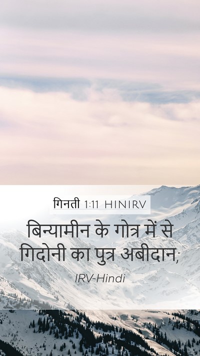 गिनती 1:11 HINIRV Bible Verse Image