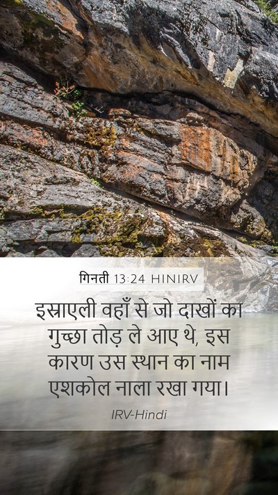 गिनती 13:24 HINIRV Bible Verse Image