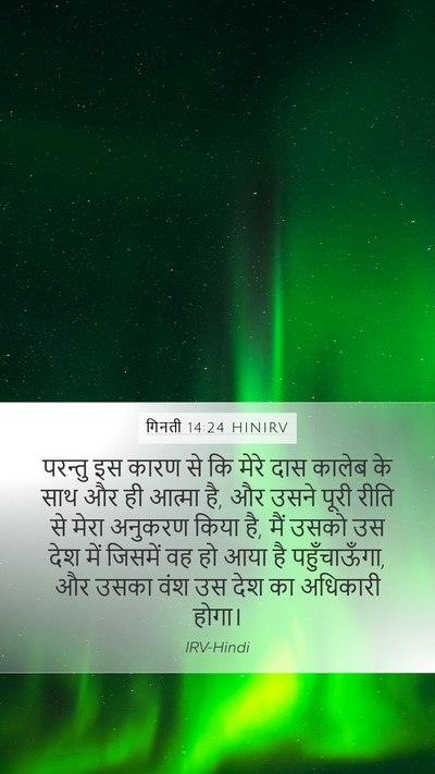 गिनती 14:24 HINIRV Bible Verse Image