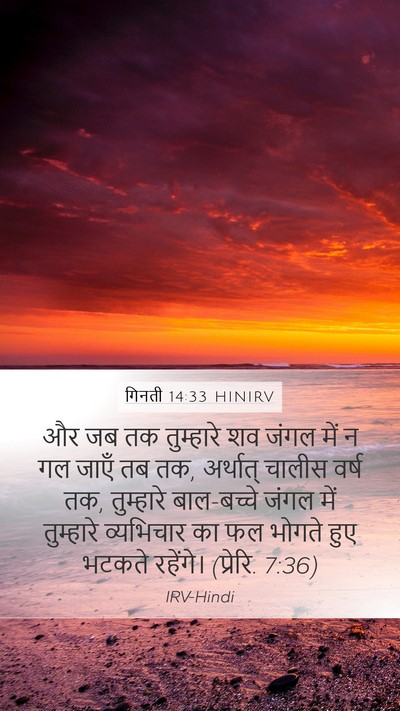 गिनती 14:33 HINIRV Bible Verse Image