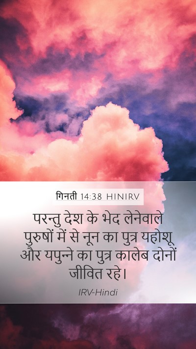 गिनती 14:38 HINIRV Bible Verse Image