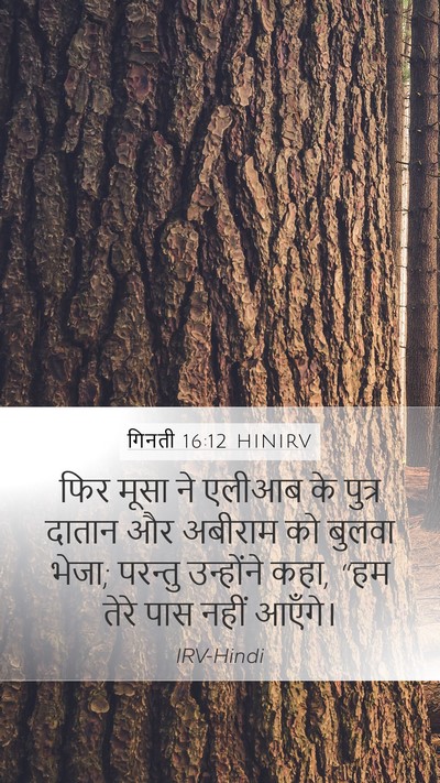 गिनती 16:12 HINIRV Mobile Phone Wallpaper - फिर मूसा ने एलीआब - Mobile Bible Verse Wallpaper