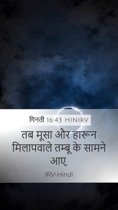 गिनती 16:43 HINIRV Mobile Phone Wallpaper - तब मूसा और हारून - Mobile Bible Verse Wallpaper