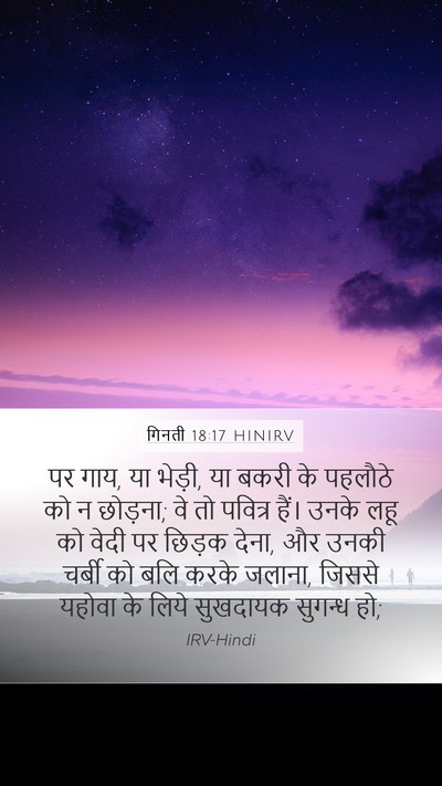 गिनती 18:17 HINIRV Mobile Phone Wallpaper - पर गाय, या भेड़ी, या - Mobile Bible Verse Wallpaper