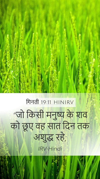 गिनती 19:11 HINIRV Bible Verse Image