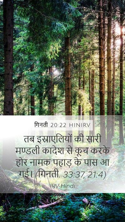 गिनती 20:22 HINIRV Bible Verse Image