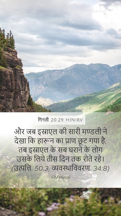 गिनती 20:29 HINIRV Bible Verse Image