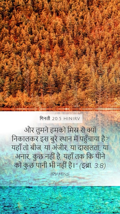 गिनती 20:5 HINIRV Bible Verse Image