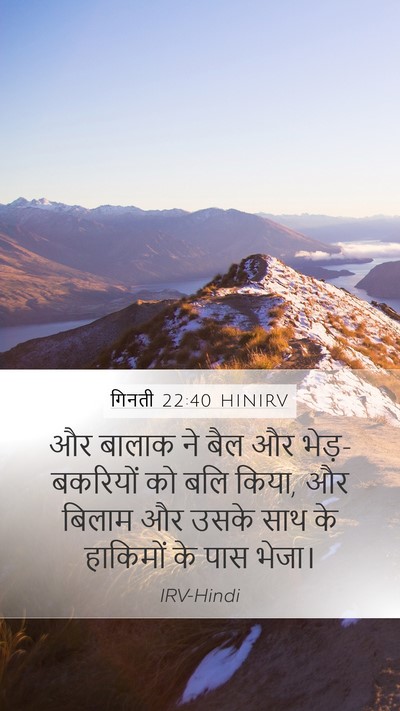 गिनती 22:40 HINIRV Mobile Phone Wallpaper - और बालाक ने बैल और - Mobile Bible Verse Wallpaper