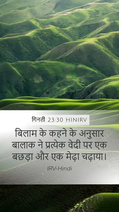 गिनती 23:30 HINIRV Bible Verse Image