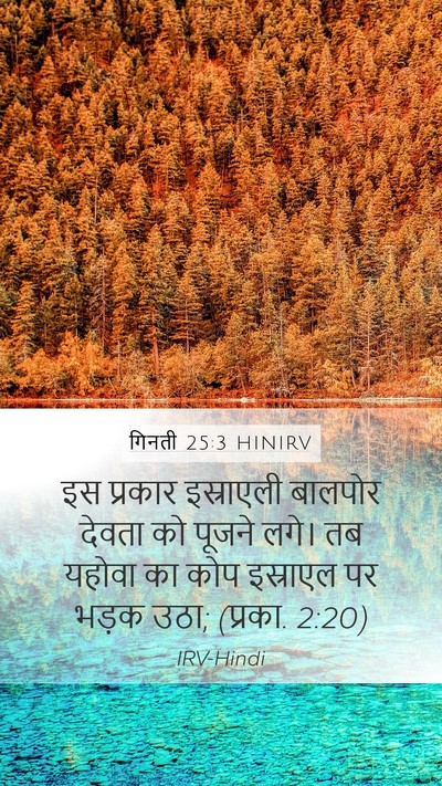 गिनती 25:3 HINIRV Bible Verse Image