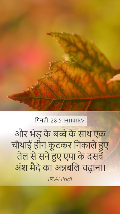 गिनती 28:5 HINIRV Bible Verse Image