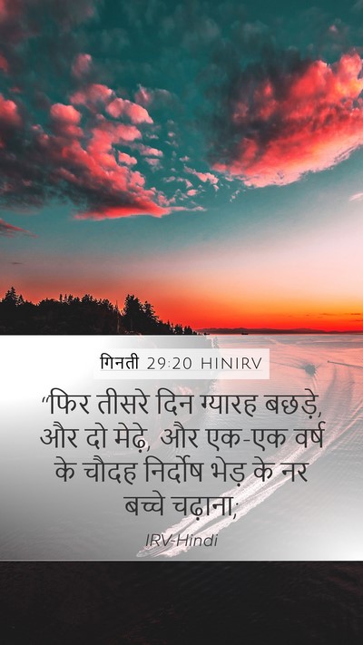 गिनती 29:20 HINIRV Bible Verse Image