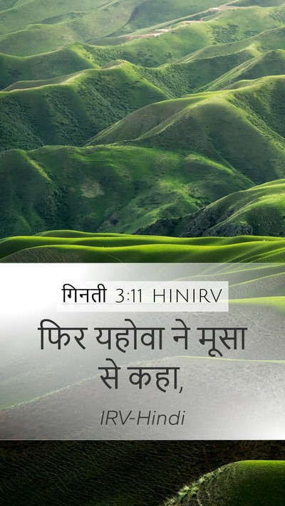 गिनती 3:11 HINIRV Mobile Phone Wallpaper - फिर यहोवा ने मूसा - Mobile Bible Verse Wallpaper