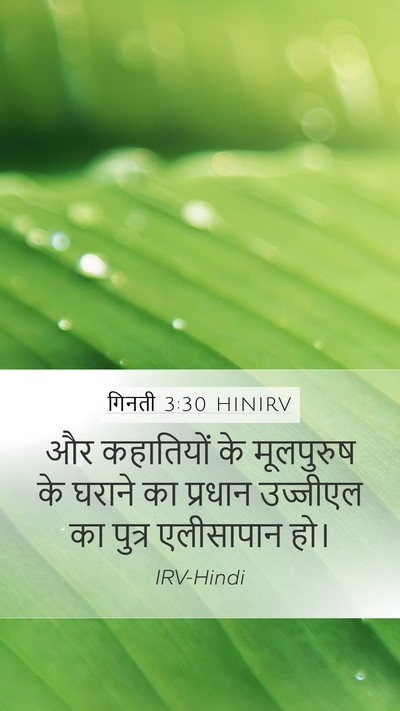 गिनती 3:30 HINIRV Bible Verse Image