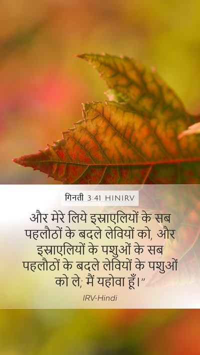 गिनती 3:41 HINIRV Bible Verse Image