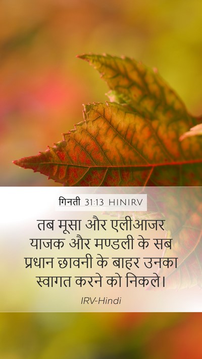 गिनती 31:13 HINIRV Mobile Phone Wallpaper - तब मूसा और एलीआजर - Mobile Bible Verse Wallpaper