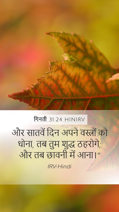 गिनती 31:24 HINIRV Bible Verse Image