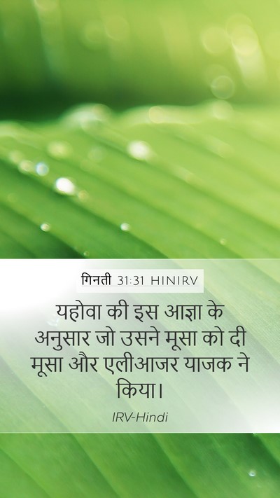 गिनती 31:31 HINIRV Mobile Phone Wallpaper - यहोवा की इस आज्ञा - Mobile Bible Verse Wallpaper