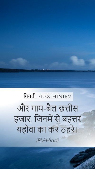 गिनती 31:38 HINIRV Mobile Phone Wallpaper - और गाय-बैल छत्तीस - Mobile Bible Verse Wallpaper