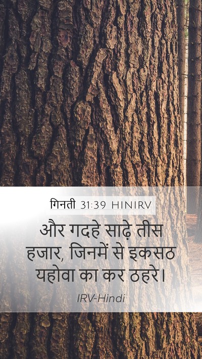 गिनती 31:39 HINIRV Mobile Phone Wallpaper - और गदहे साढ़े तीस - Mobile Bible Verse Wallpaper