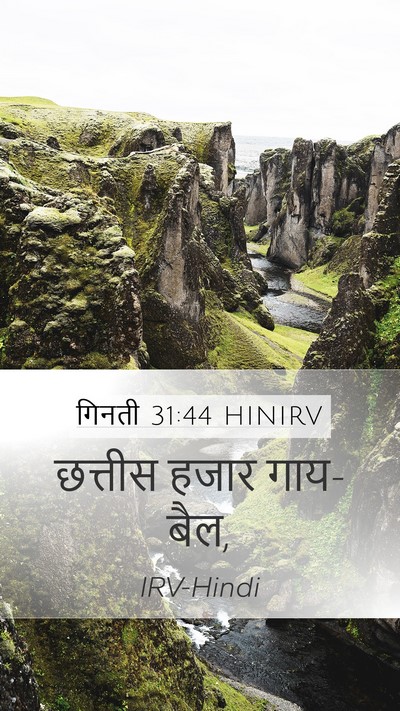 गिनती 31:44 HINIRV Mobile Phone Wallpaper - छत्तीस हजार - Mobile Bible Verse Wallpaper