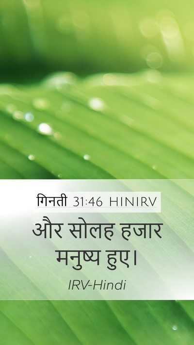 गिनती 31:46 HINIRV Mobile Phone Wallpaper - और सोलह हजार - Mobile Bible Verse Wallpaper