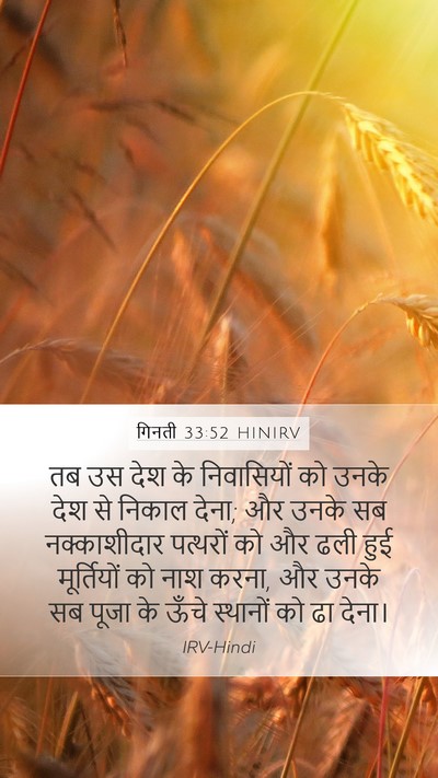 गिनती 33:52 HINIRV Bible Verse Image