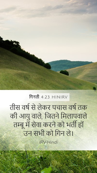 गिनती 4:23 HINIRV Bible Verse Image