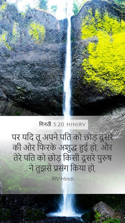 गिनती 5:20 HINIRV Bible Verse Image