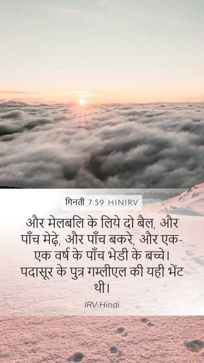 गिनती 7:59 HINIRV Mobile Phone Wallpaper - और मेलबलि के लिये - Mobile Bible Verse Wallpaper