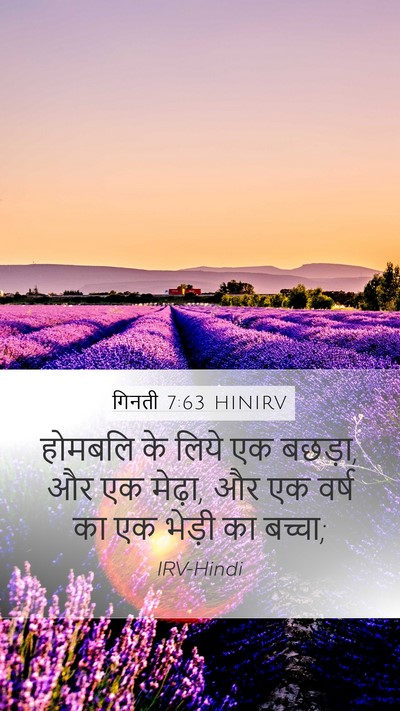 गिनती 7:63 HINIRV Mobile Phone Wallpaper - होमबलि के लिये एक - Mobile Bible Verse Wallpaper