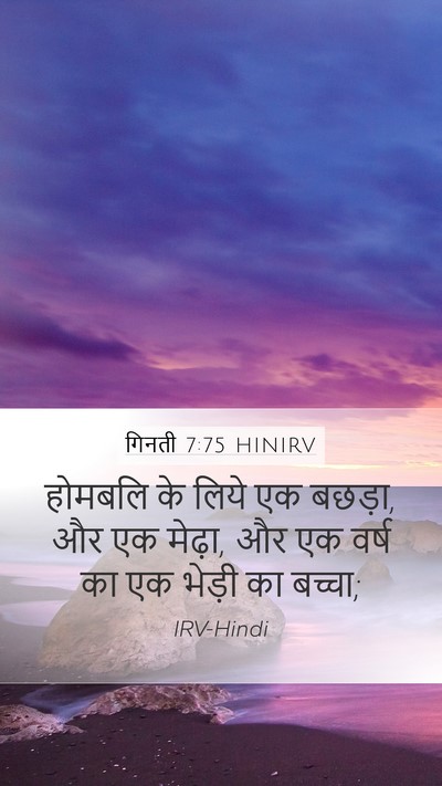 गिनती 7:75 HINIRV Mobile Phone Wallpaper - होमबलि के लिये एक - Mobile Bible Verse Wallpaper