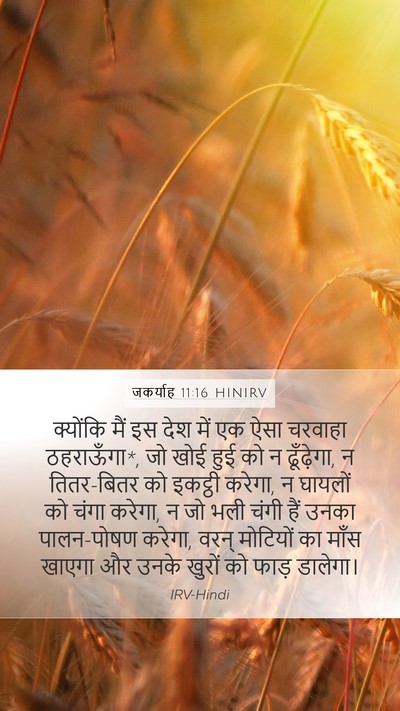 जकर्याह 11:16 HINIRV Bible Verse Image