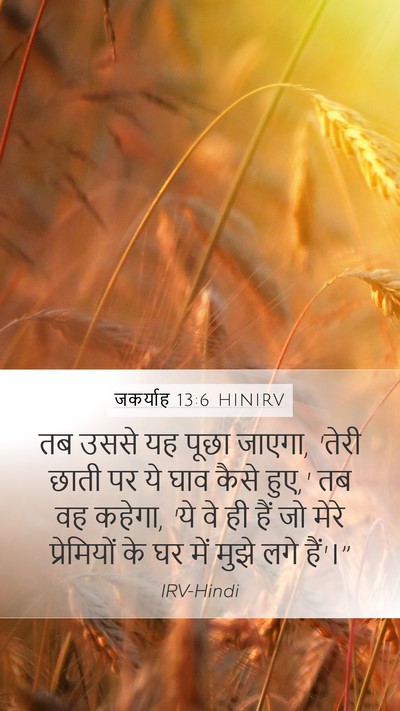 जकर्याह 13:6 HINIRV Mobile Phone Wallpaper - तब उससे यह पूछा - Mobile Bible Verse Wallpaper
