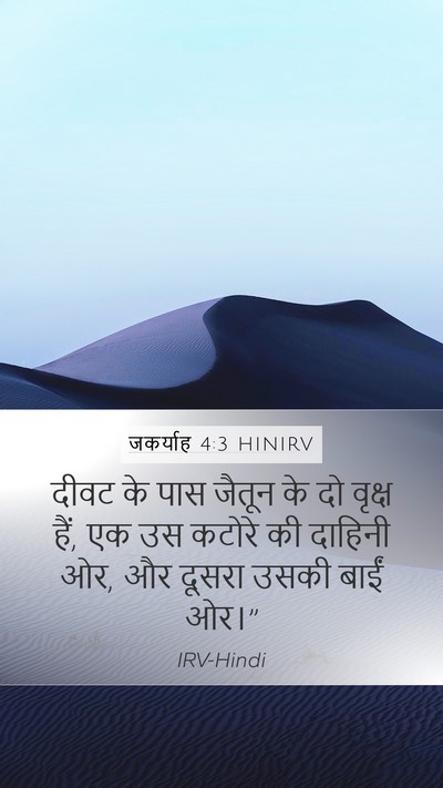 जकर्याह 4:3 HINIRV Mobile Phone Wallpaper - दीवट के पास जैतून - Mobile Bible Verse Wallpaper