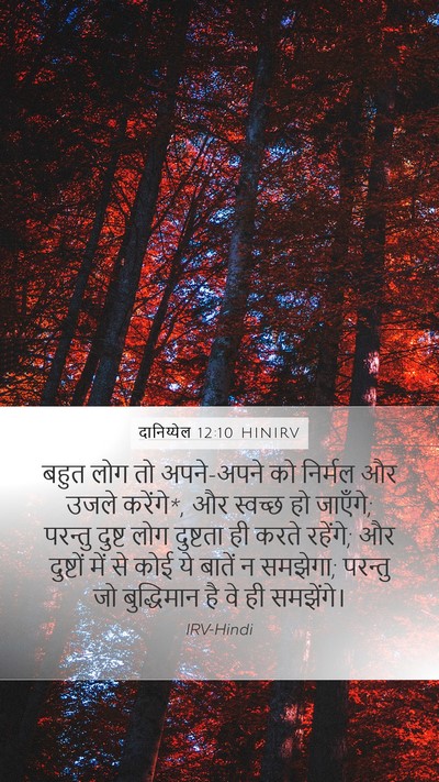 दानिय्येल 12:10 HINIRV Bible Verse Image