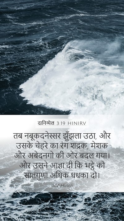 दानिय्येल 3:19 HINIRV Bible Verse Image