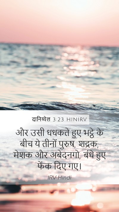 दानिय्येल 3:23 HINIRV Mobile Phone Wallpaper - और उसी धधकते हुए - Mobile Bible Verse Wallpaper
